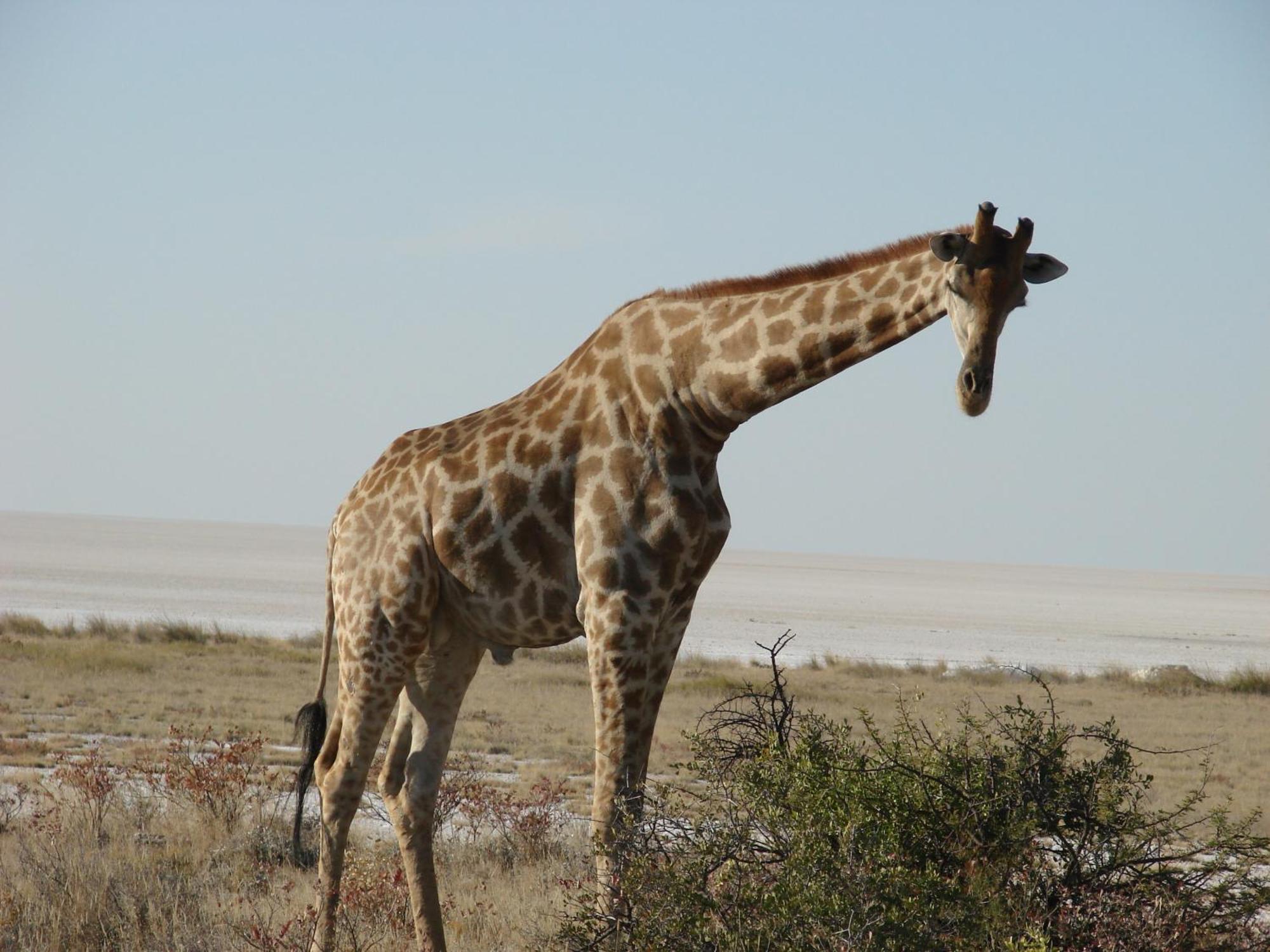 Onduri Lodge オウチョ エクステリア 写真