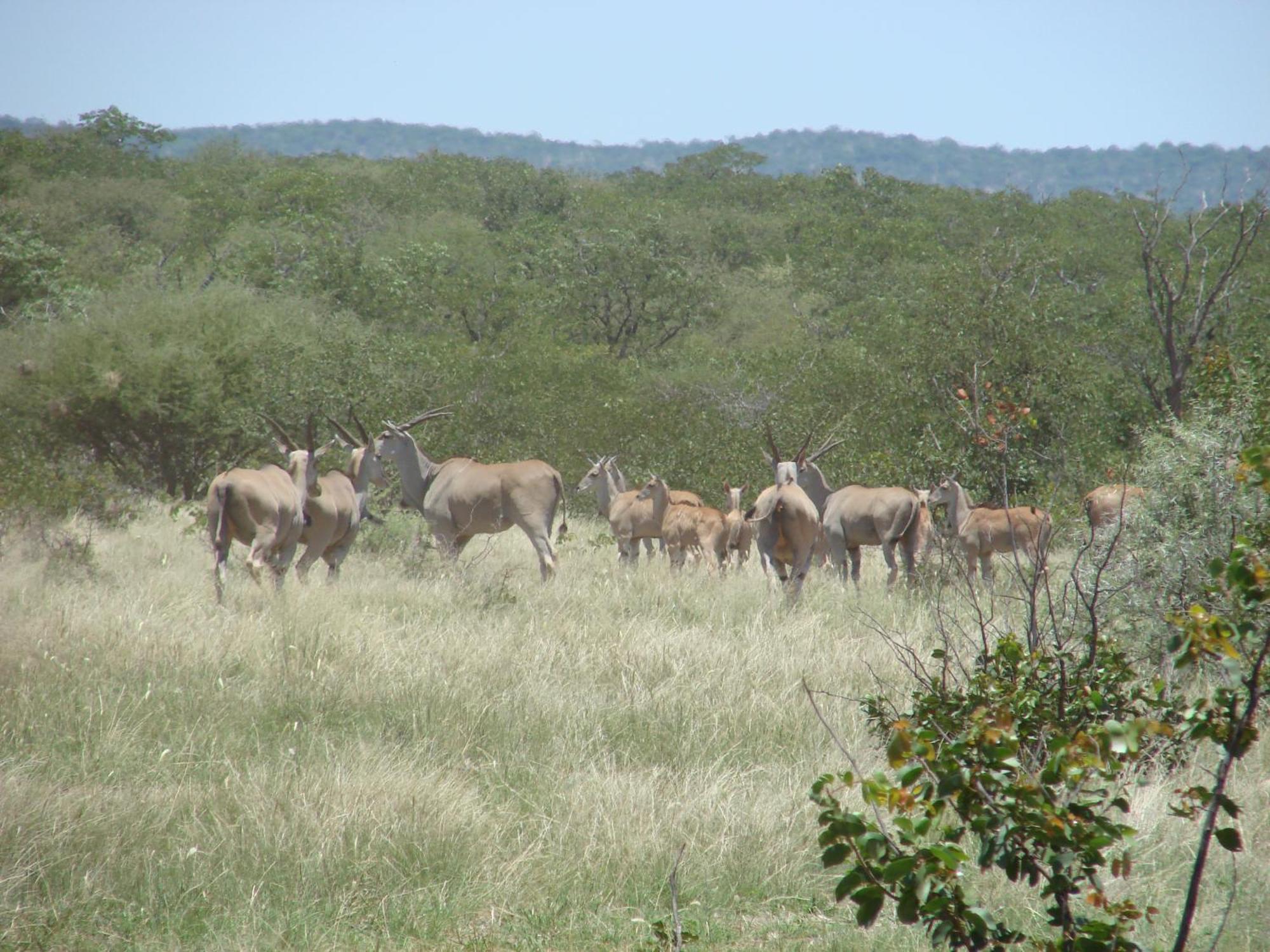 Onduri Lodge オウチョ エクステリア 写真