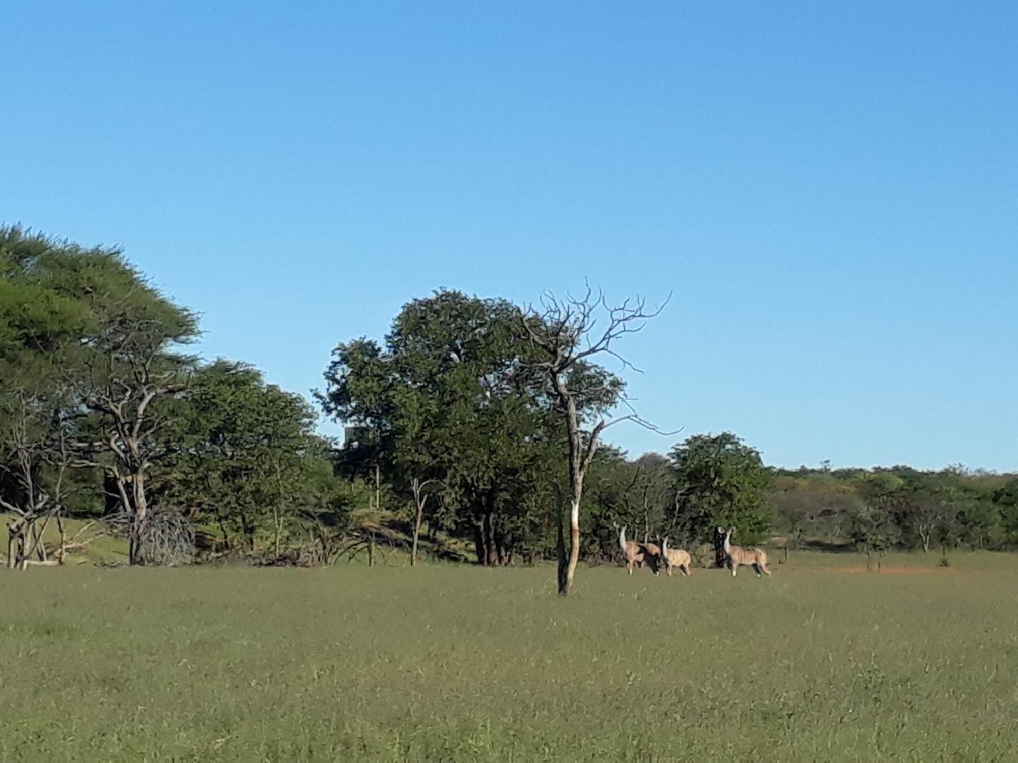 Onduri Lodge オウチョ エクステリア 写真